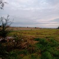 Appezzamento terriero