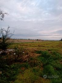 Appezzamento terriero