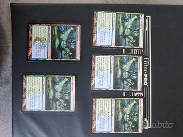 pozza prolifica mtg