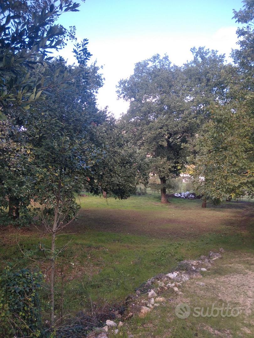 Terreno via colli - Vista 5
