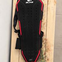 paraschiena alike x8