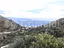 Immagine 7