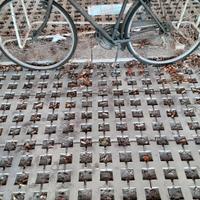 bici da uomo 