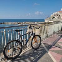 MTB Bianchi RCX 299