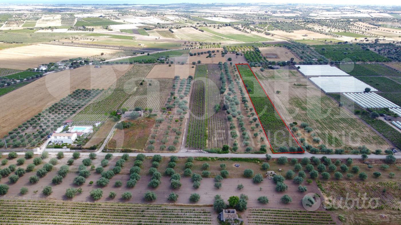 Terreno Agricolo Noto [Cod. rif 3321587VCG] - Vista 2