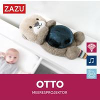 Proiettore di luce notturna