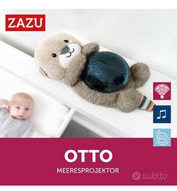 Proiettore di luce notturna