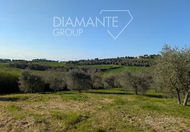 Terreno edificabile con progetto approvato