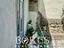 Immagine 25