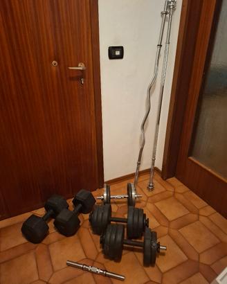 Bilanveri e manubri piu pesi vari.