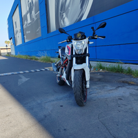 Benelli bn 251