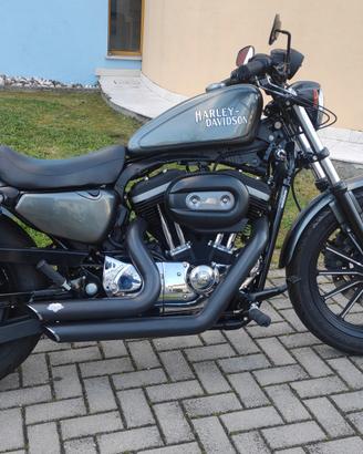 Harley Davidson 883 sporster 2010