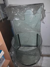 acquario pesce vetro