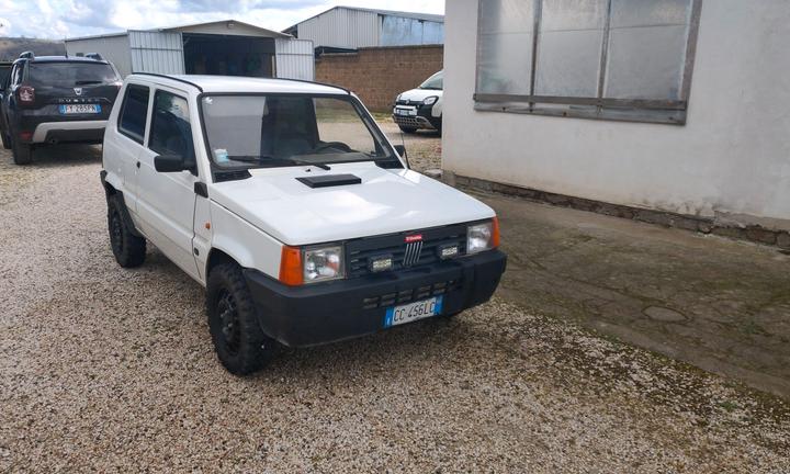 Fiat panda Young