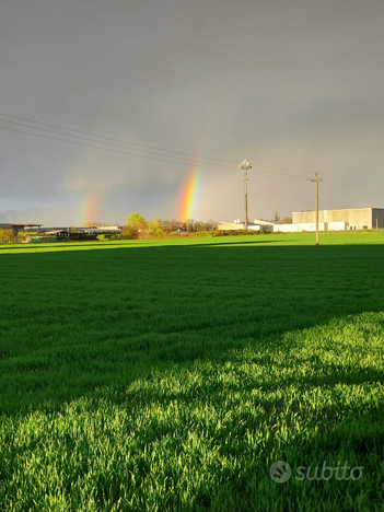 Terreni agricoli