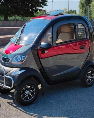 Auto elettrica per disabili