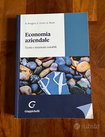 Economia aziendale - teorie e strumenti contabili