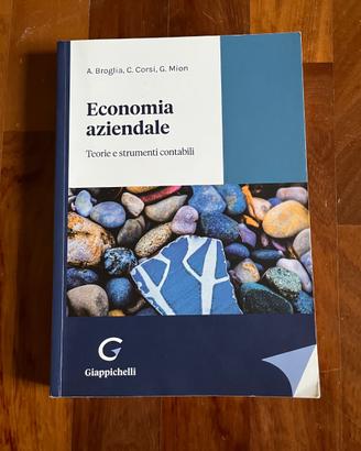 Economia aziendale - teorie e strumenti contabili