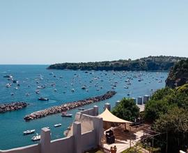 Ultimi giorni Procida