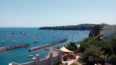 Ultimi giorni Procida