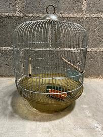 Gabbia per uccelli
