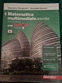 Matematica multimediale. verde