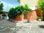 Immagine 5