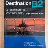 Destination B2. Grammar/Vocabulary