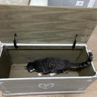 Cassapanca / Baule contenitore Maisons du Monde