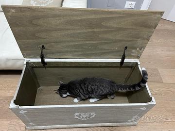 Cassapanca / Baule contenitore Maisons du Monde