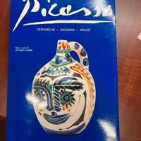 Libro picasso