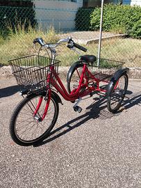 bici a tre ruote disabili o anziani