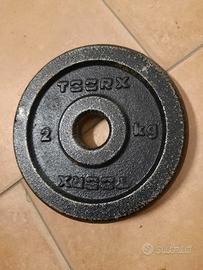 Disco ghisa da 2 kg della Toorx