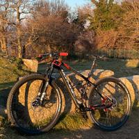 MTB CARBONIO 29 XC