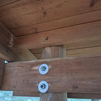Tettoia, pergola in legno 