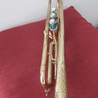 Tromba Mario Corso