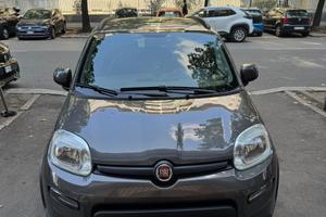 Fiat panda gpl