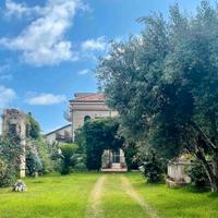 Giardiniere - tuttofare