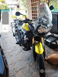 Triumph tiger 800