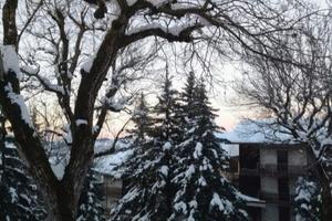 Natale A SESTOLA