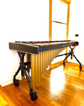 Marimba Adams Solist 4 1/3 Ottave in Padouk