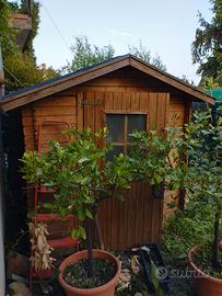 casetta in legno 