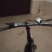 Bici elettrica 250W