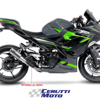 Scarico Leovince LV-10 Titanio Kawasaki Z / Ninja