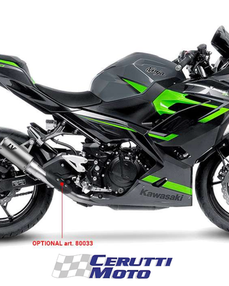 Scarico Leovince LV-10 Titanio Kawasaki Z / Ninja