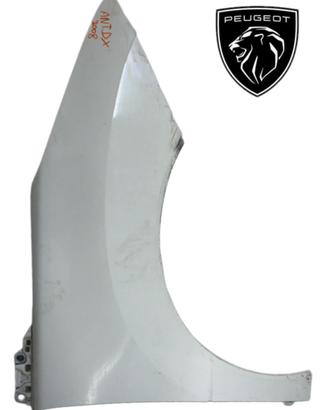 PARAFANGO ANTERIORE DESTRO PEUGEOT 3008 Serie (09>