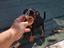 Immagine 2