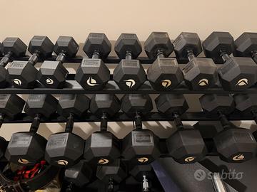 Set manubri lacertosus  5 - 30 kg con rastrelliera