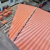 Muratore carpentiere
