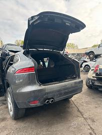 Ricambi per JAGUAR F-PACE 2019 COD MOT: 204DTH